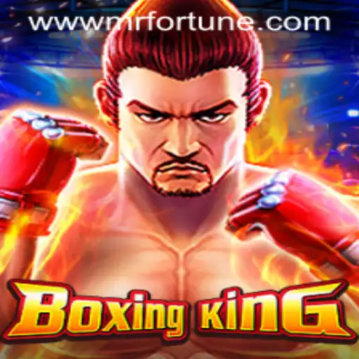BoxingKing: Excitement, Rules, and the Legendary Mr Fortune